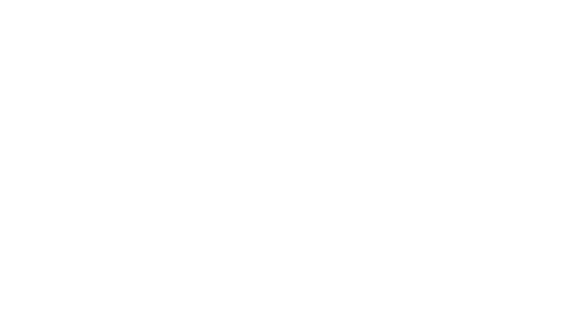 Sainer